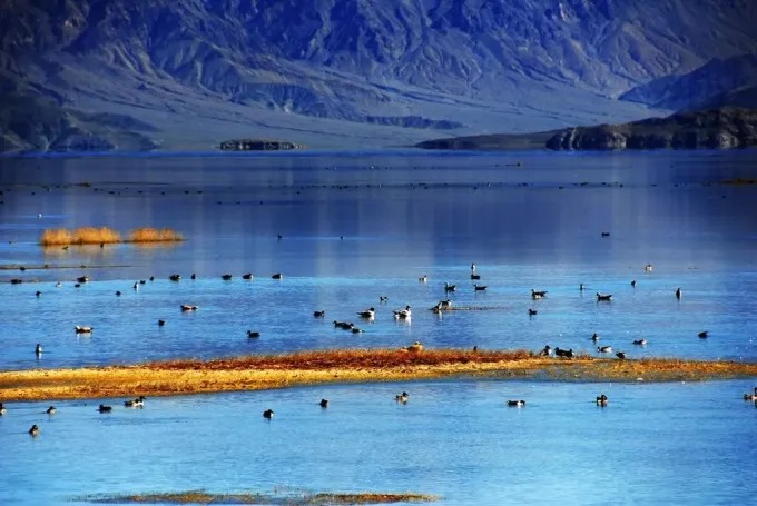 Pangong Lake on the Ngari plateau