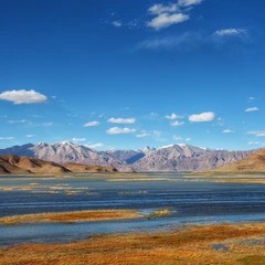 Pangong Tso y una orilla árida