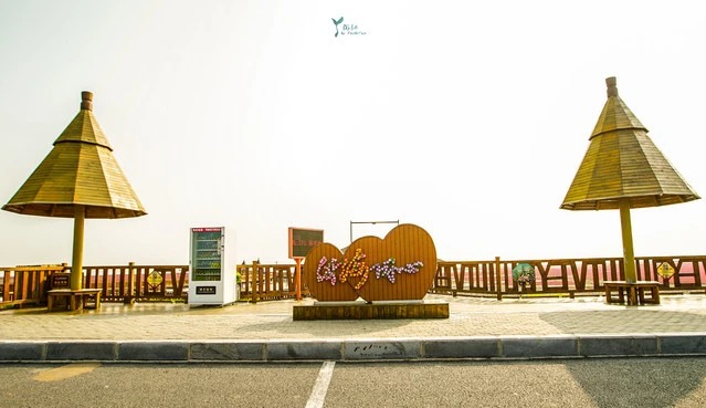 Holzsteg, der bei Xianghai Tongxin zum Meer führt