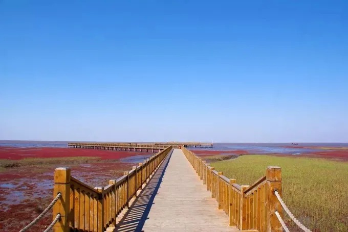 Humedales de la Playa Roja en Panjin