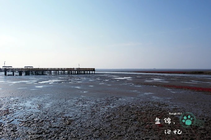 Open water where the Liaohe River meets Bohai Bay