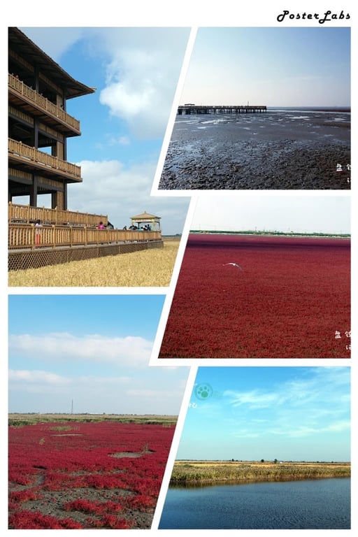 Road crossing wetland near Panjin Red Beach