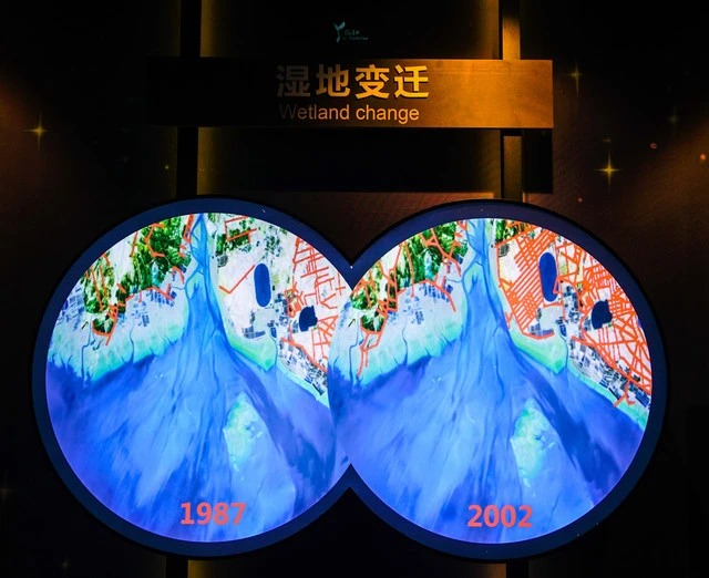 Interactive display of wetland birds, fish and crabs