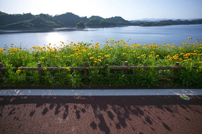 淳楊線の湖畔サイクリンググリーンウェイ