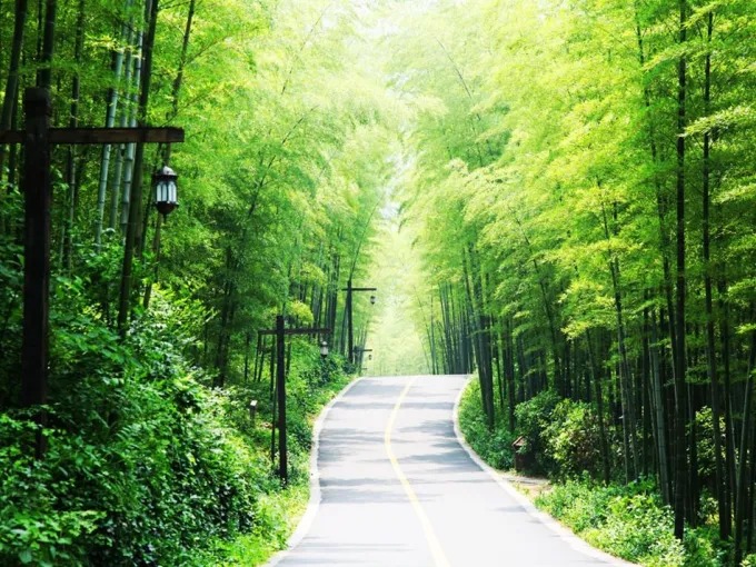 森林氧吧の小川と岩
