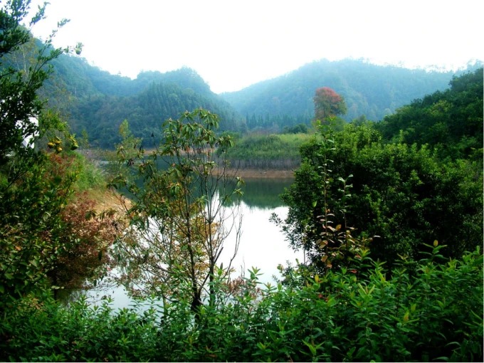 Wetland channels and wooded islands at Longchuan Bay