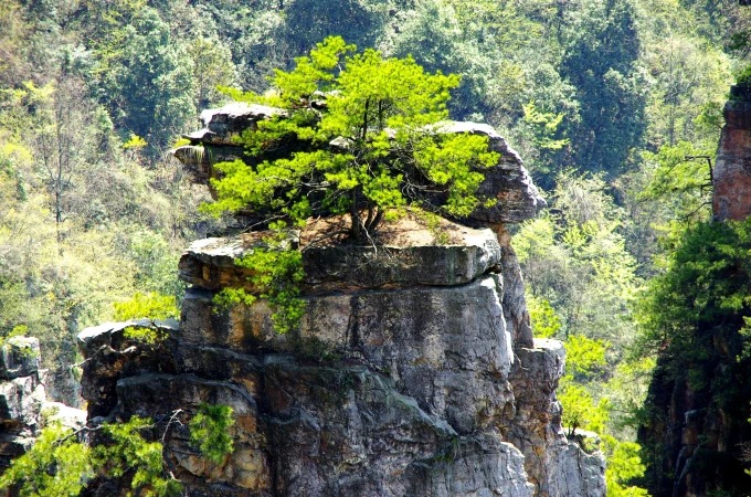 Berglandschaft am Tianzi-Berg in Zhangjiajie