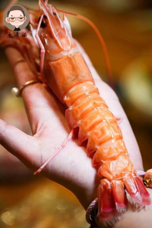 Sashimi de scampi de Nueva Zelanda dispuesto en un plato