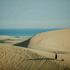 Ufer des Qinghai-Sees unter dem weiten Himmel des Hochplateaus