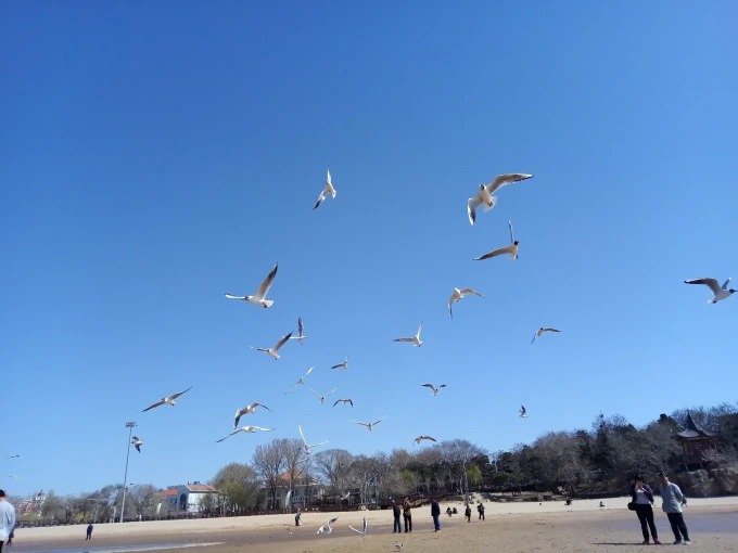Littoral du parc du Nid-de-Pigeon