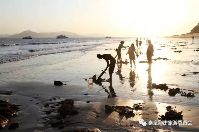 썰물 때 드러난 갯벌 표면