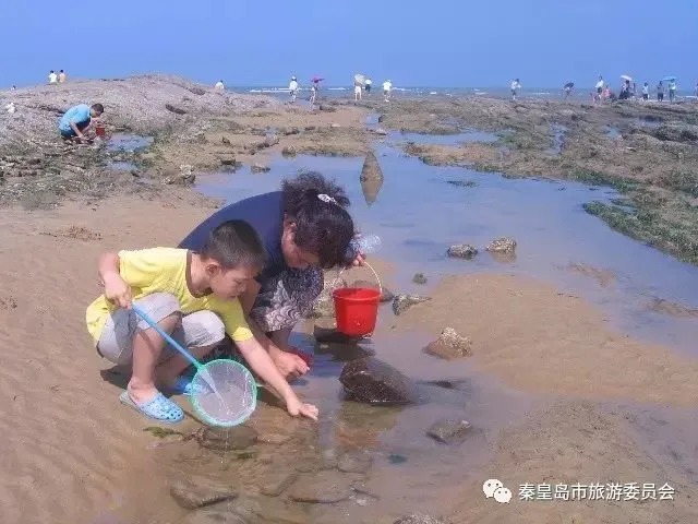 썰물 때 얕은 물웅덩이가 있는 암석 해안