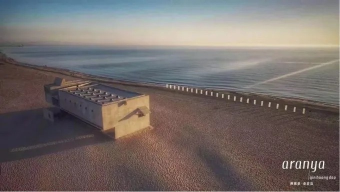 浜に立つロンリー・ライブラリー