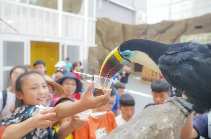 Bassins marins au parc océanique de Rizhao
