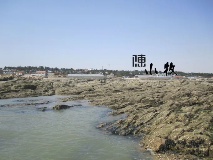 Observation des flaques de marée sur la côte de Rizhao