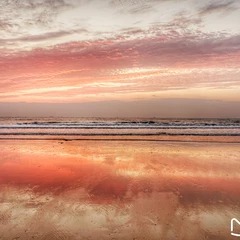 Floresta costeira e praia no Parque Florestal Nacional de Rizhao