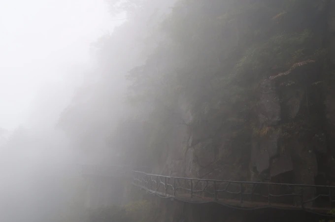 Westküsten-Bohlenweg im Nebel