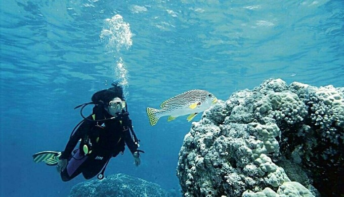 Taucher im klaren Wasser bei der Insel Wuzhizhou