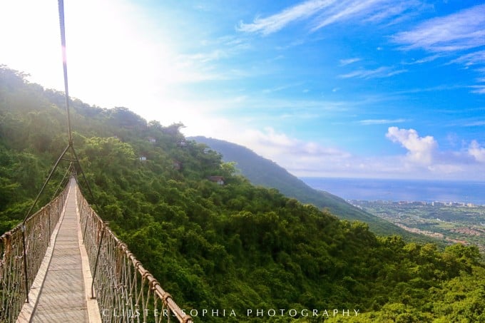 Tropische Waldlandschaft in Sanya