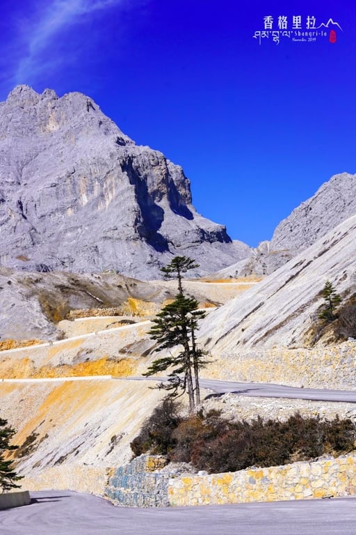 Lacets dans les pentes de roche claire au-dessus de la forêt