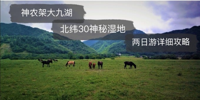 Hochlandfeuchtgebiet und Wiese von Dajiuhu in Shennongjia