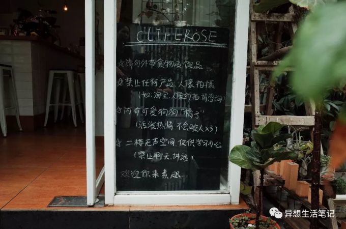 수즈 카페의 작은 개