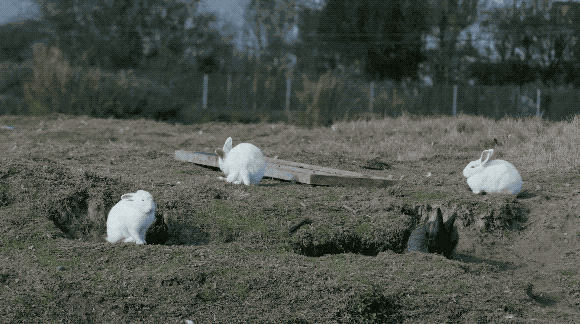 Agua y juncos en un estanque recuperado de la granja Chaimiduo
