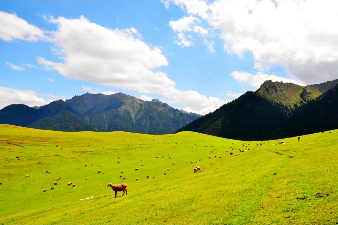 Frühlingslandschaft im Gebiet Nanshan bei Ürümqi
