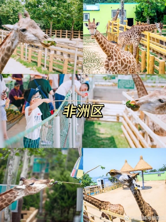 Giraffe reaching toward a visitor