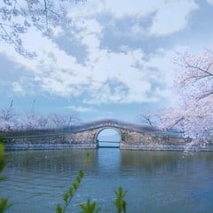 Steinbogenbrücke und Kirschblüten an der Changchun-Brücke