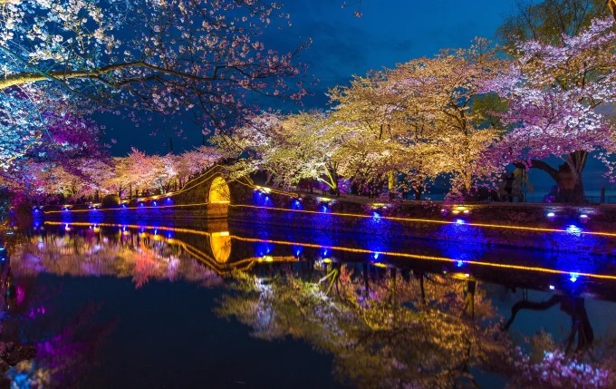 Beleuchtete Kirschblüten am Wasser in Yuantouzhu