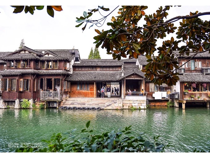 Cormorant and boat on a canal in Wuzhen