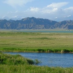 Open landscape in the Qaidam Basin