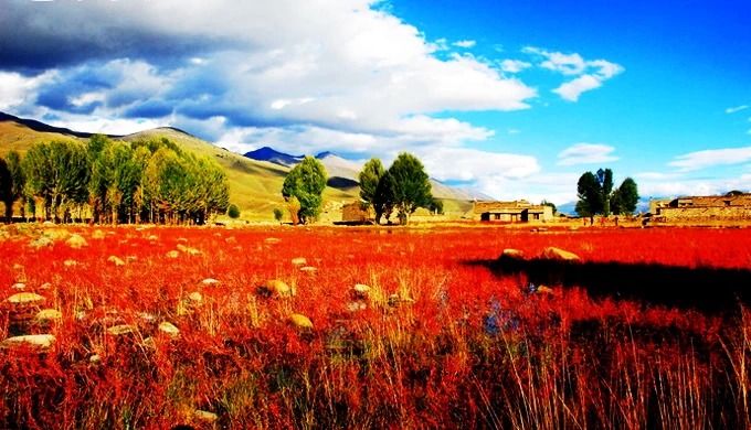 Rote-Gras-Feuchtgebiet bei Sangdui