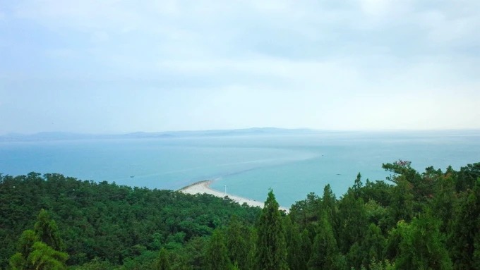 린하이의 숲과 바다 전망