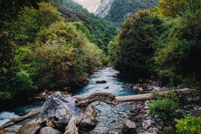 Mountain stream in woodland near Yubeng