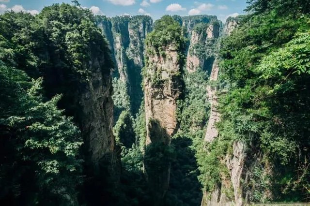 Hohe Sandsteinsäulen bei Yuanjiajie