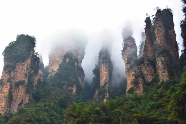 Sandsteinpfeiler von Zhangjiajie im Nebel