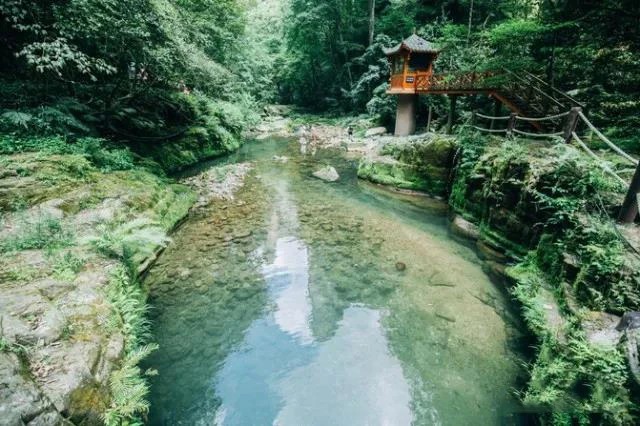 Wasser und Wald am Goldpeitschenbach