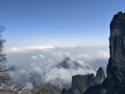 天門山の雲と森に覆われた断崖