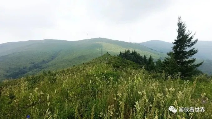 Crête herbeuse et anciens vestiges de pierre
