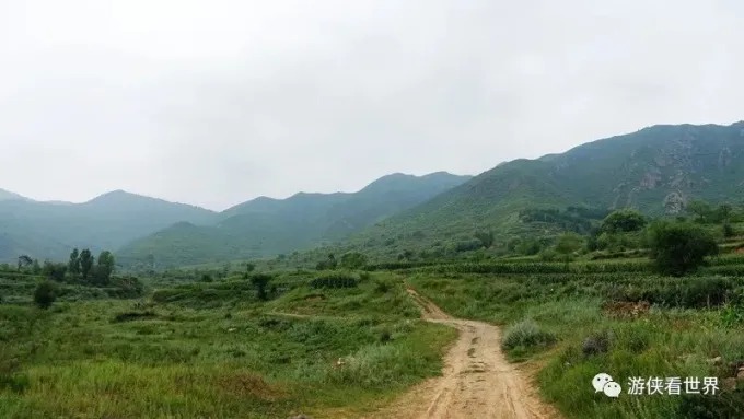 Piste agricole dans la campagne ouverte