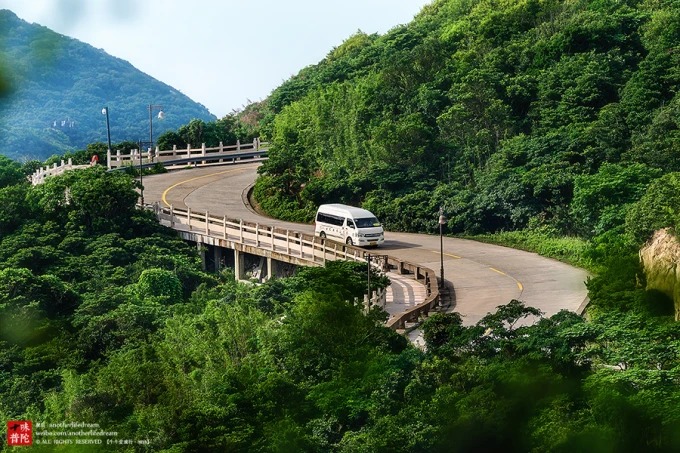 普陀山の森の斜面を曲がる道路