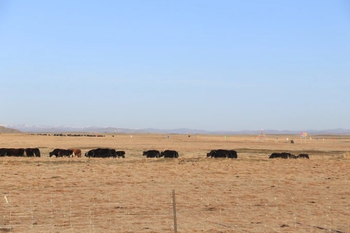 Zona húmida do planalto e águas abertas perto de Ruoergai