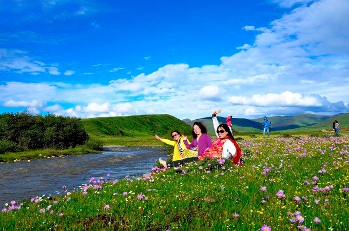 Sommerblumen bei Emutang